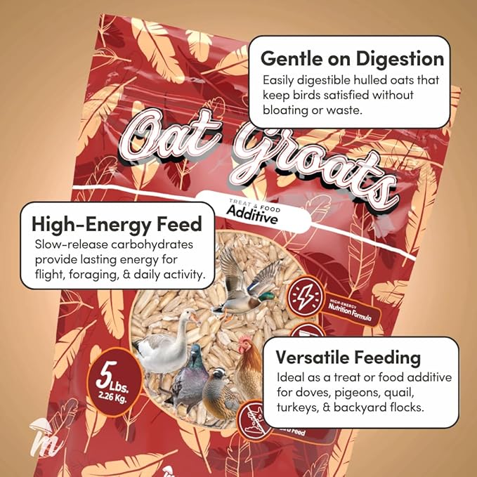 Mycelium Organic Oat Groats for Birds (5 LB Bag) | Clean, Non-GMO Grain Treat or Food Additive | Debris & Dust-Free Advanced Sifting | Ideal for Small Pet & Ground-Feeding Wildlife Birds | Made in USA
