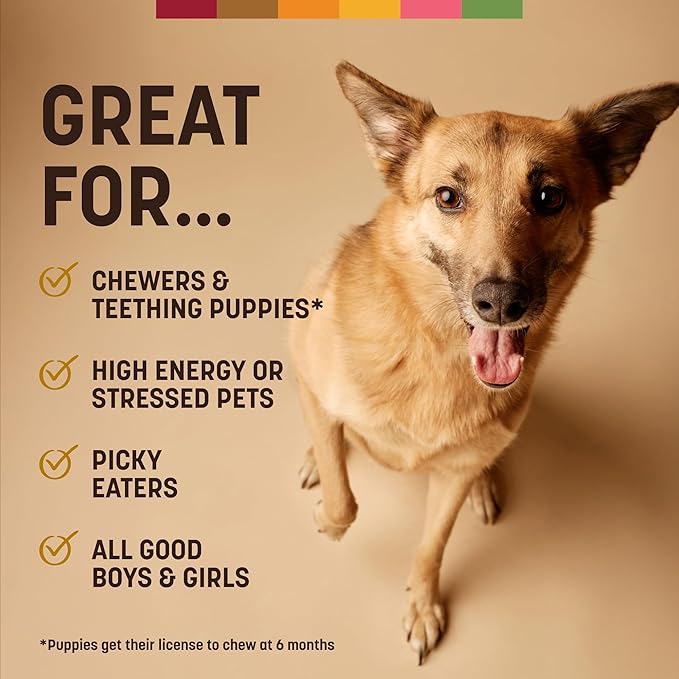 Earth Animal No Hide Strips - Natural Rawhide Free Dog Chew Strips, Peanut Butter - 4 Count