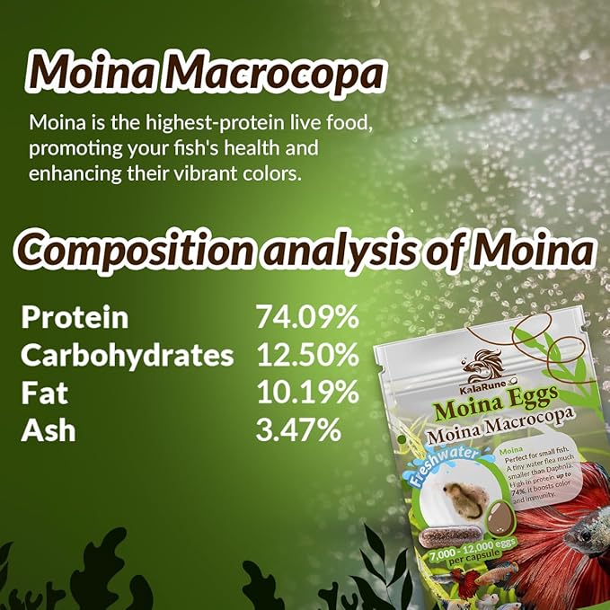 Moina macrocopa Eggs (Water Flea) - for Hatching, Freshwater Live Fish Food for Newborn Fry, Betta Fish and Other Aquatic Species. Encourages Natural Hunting Behavior in Fish. 3 Capsules