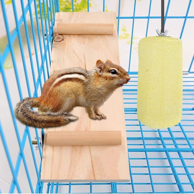Grinding Stone, Parrots Grinding Stone, Hamster Grinding Stones, Suitable for Birds, Parrots and Other Small Birds to Play