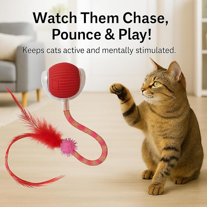Interactive Cat Toy Ball – Rechargeable Smart Rolling Cat Ball Toy – Auto Movement – Indoor Cat Toys for Kittens – Light-Up Modes – Dual Speed – Cat Toys Interactive