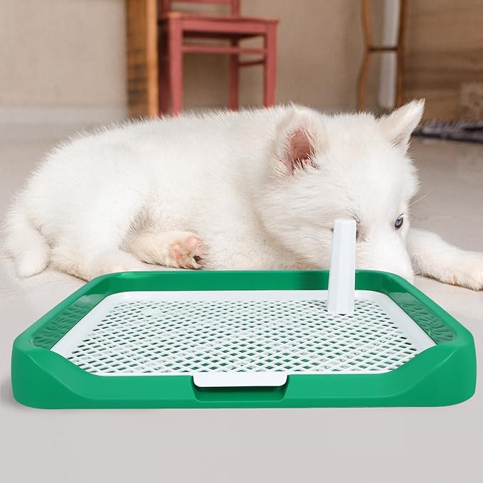 Dog Toilet Indoor Litter Box for Dogs and Puppies with Raised Edges Green Medium Size for Pet Housebreaking and Training