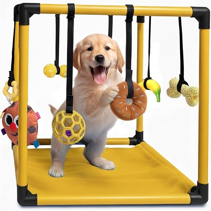 Race&Herd Puppy Play Gym, Dog Play Mat, 8 Bungee Straps Interactive Puppy Active Toys - Small Dog Jungle Gym 19.5" Frame with Playground Set Indoor Enrichment Activity Center (Yellow)