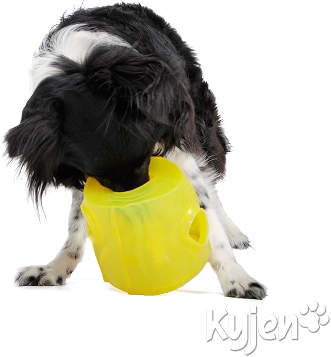 Outward Hound Kyjen Dog Games Hide A Squirrel Extreme