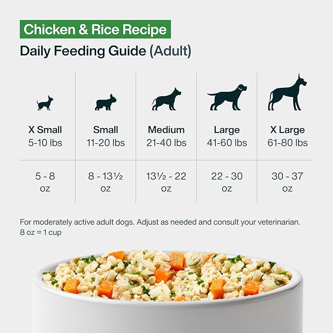 JustFoodForDogs Pantry Fresh Wet Dog Food, Complete Meal or Dog Food Topper, Chicken & White Rice Human Grade Dog Food Recipe - 12.5 oz (Pack of 12)