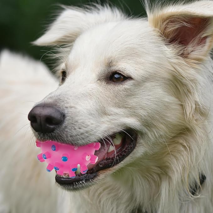 Beavorty Small Thorn Ball Dog Toy with Squeaker 2.75 Inch Vinyl Chew Ball Quack Sound Pet Toy for Interactive Play Stress Relief Cats Dogs