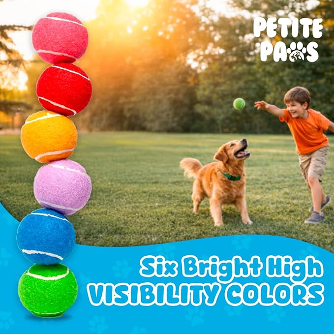 BundleBee Petite Paws Squeaky Tennis Balls for Dogs 2.5 Inch - 12 Pack Dog Toy Balls - Non-Toxic Rubber Squeaky Balls for Medium Large Dogs, Fetch Training Toys, Colorful Bouncy Dog Ball