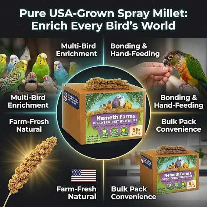USA Grown Spray Millet for Birds – Midwest Harvest, 5 lbs Premium 100% Natural, Sun-Dried Non-GMO Whole Millet Sprays, Bird Treat for Parakeets, Budgies, Cockatiels, Conures, Lovebirds & Finches