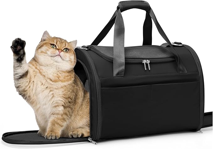 Cat Carrier Soft, Pet Dog Carrier Soft-Sided Airline Approved, Pet Travel Carrier Up to 20lbs, Collapsible Cat Carrier Dog Carrier for Medium Cats Small Dogs, Black