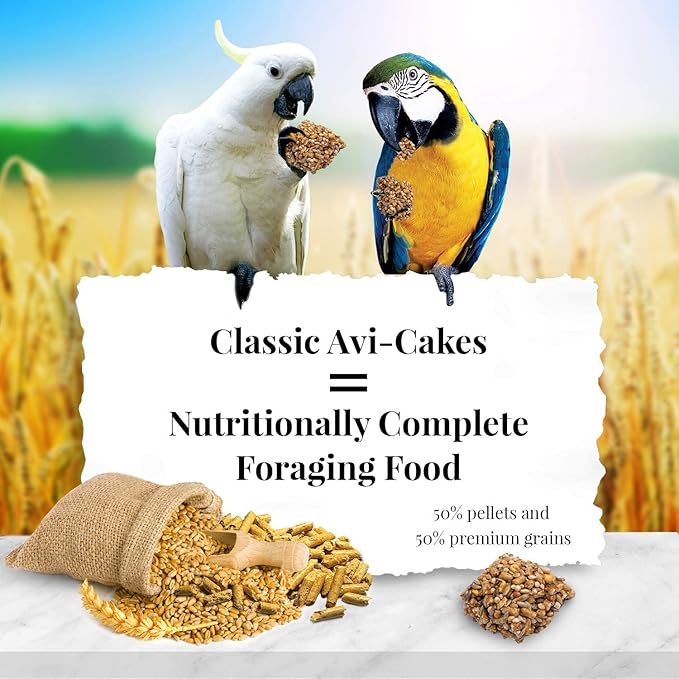(3 Pack) Lafeber Company Avi-Cakes Macaw and Cockatoo Treat (1 Pound Per Pack)