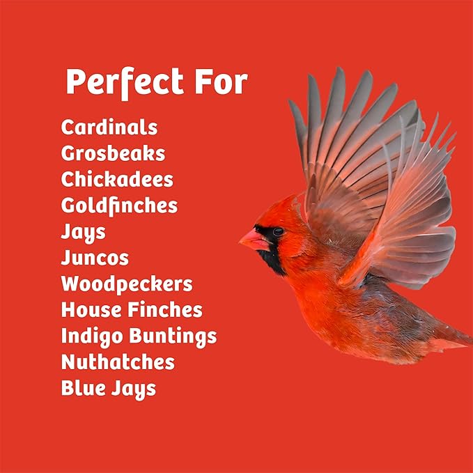 Birds Choice Cardinal's Crave Seed Cake | Wild Bird Food for Cardinals | High-Energy Mix of Black Oil Sunflower Seeds, Pecans & Millet | High Protein & Fat Backyard Feeders | 0.55 lbs (6-Pack)