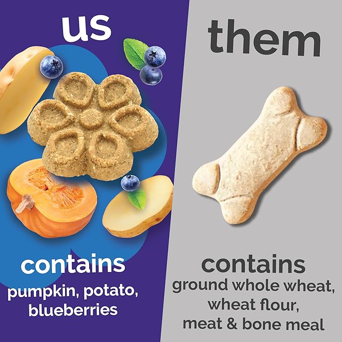 Fruitables Biggies Dog Biscuits, Healthy Treats for Dogs, Doggie Biscuits, Crunchy Pumpkin Treats, Made Without Wheat, Corn and Soy, Made in the USA, Pumpkin and Blueberry Flavor, 16oz