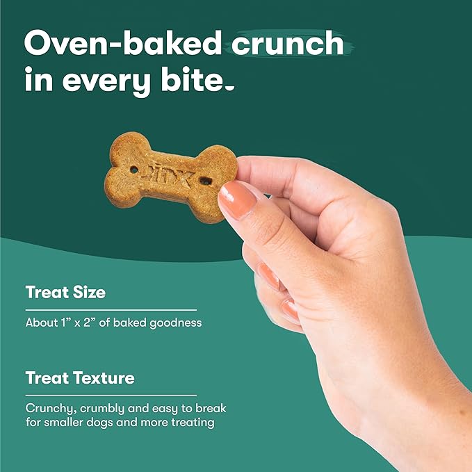 Jinx Oven-Baked Beef Bone Broth Biscuit Treats, Crunchy, All Natural, Superfood-Rich with Real Beef, Pumpkin & Blueberries, 16oz, 4 Pack