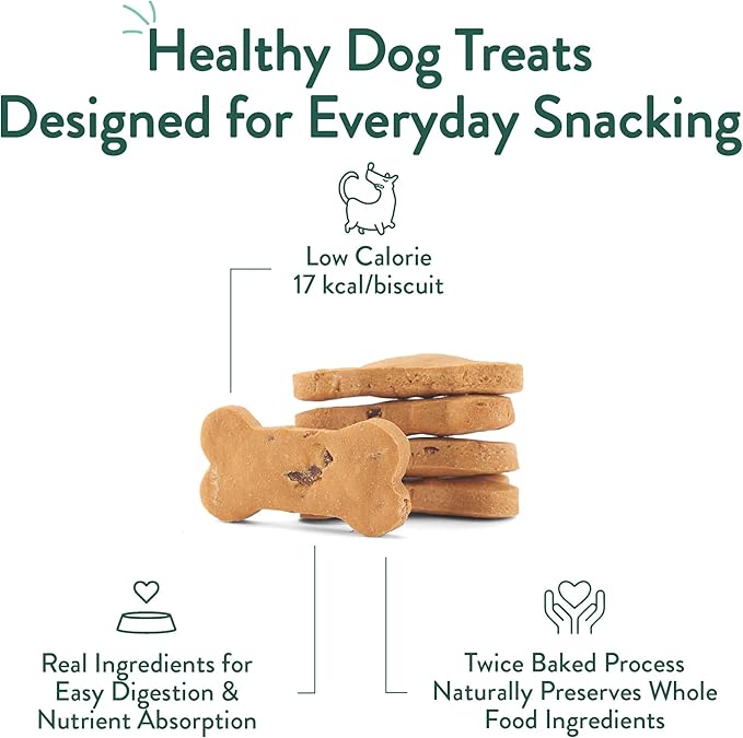 Portland Pet Food Company Bacon Dog Treats Healthy Biscuits for Large Medium & Small Dogs - Grain-Free, Human-Grade, All Natural Cookies, Snacks & Training Treats - Made in The USA - 3 Pack (5 oz)