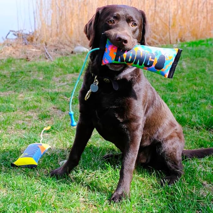 KONG Wubba Ballistic High-Viz Dog Toy – Squeaky Durable Tug & Toss Toy – Bright Colors for High Visibility – (High-Viz Wubba/Bumper Combo)