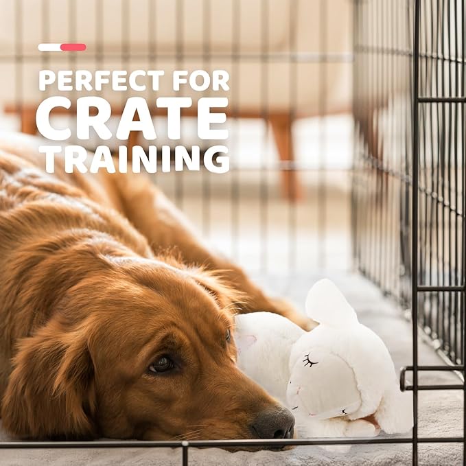 ALL FOR PAWS Heartbeat Dog Toy with Warm Bag for Puppy Anxiety Relief & Sleep Aid, Heartbeat Stuffed Animal Dog Toy for Behavioral Training, Snuggling Plush Toy for Puppy Calming Aid, White Sheep