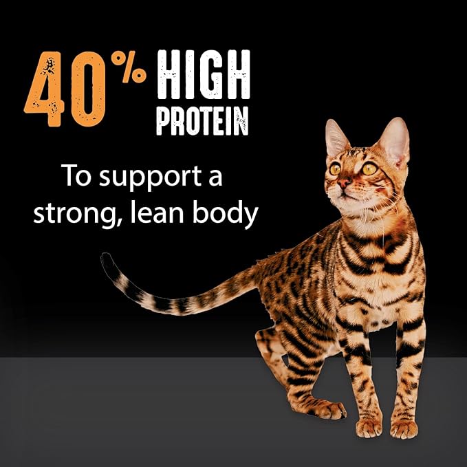 CRAVE Grain Free Adult High Protein Natural Dry Cat Food with Protein from Chicken, 2 lb. Bag