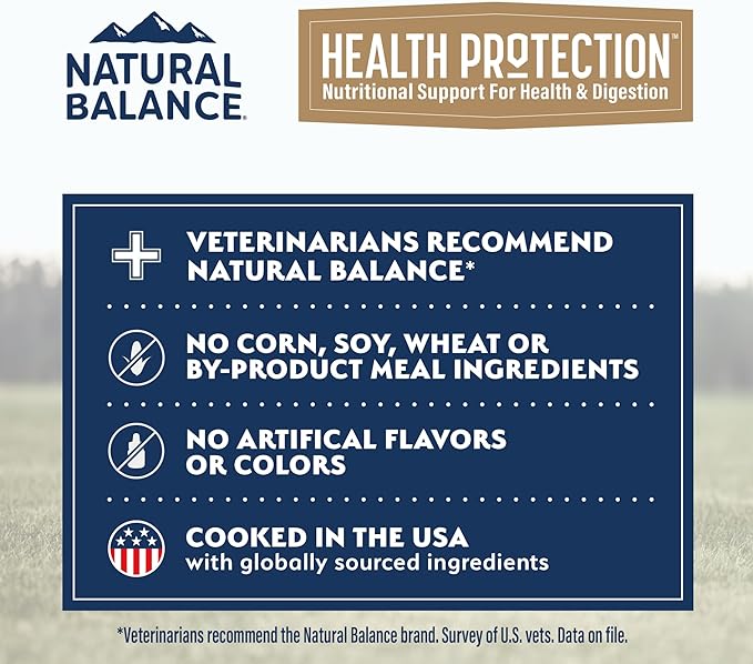 Natural Balance Health Protection Wet Dog Food - Whole Body Health, Easy on Digestion, Beef, Pumpkin & Brown Rice Stew, Digestive Wellness Dog Food, High in Fiber - 12.5oz (Case of 6)