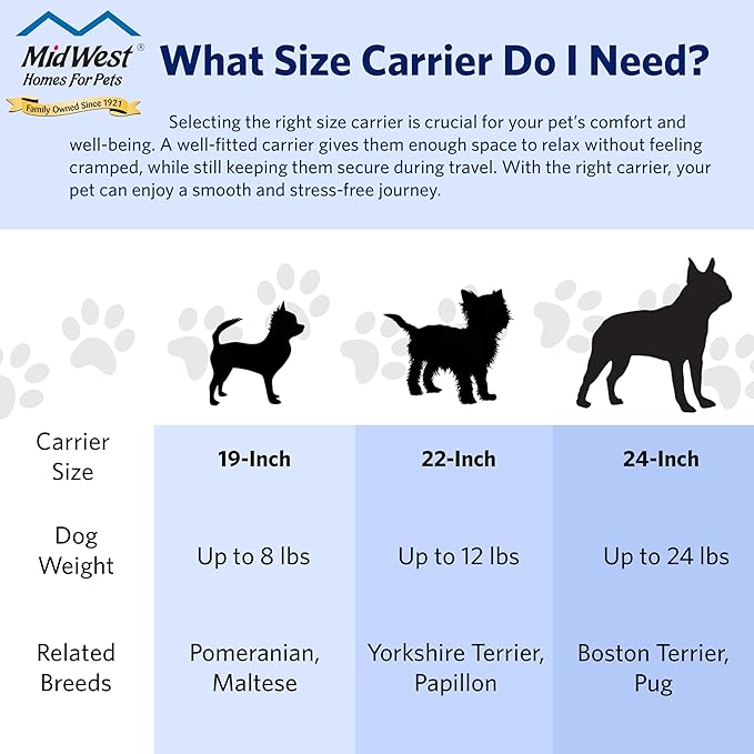 MidWest Homes for Pets Spree Travel Carrier - Hard-Sided Dog & Cat Carrier, Small Pet Travel Crate with Handle, Ventilated Design, Easy Assembly, 19-Inch, Red