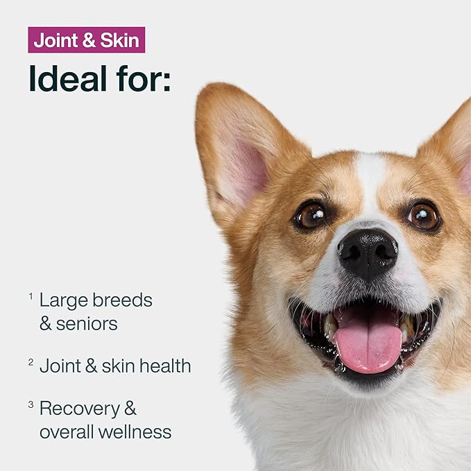 JustFoodForDogs Frozen Fresh Dog Food for Sensitive Skin & Allergies, Joint Health, Complete Meal or Human Grade Dog Food Topper, Joint & Skin Support, 18 oz (Pack of 21)