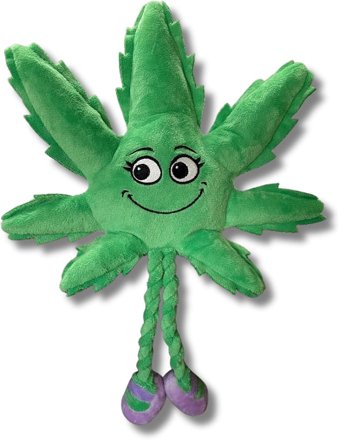 My Name is Mary Jane, Cute Stuffed Parody Marijuana Leaf Dog Toy, Funny Squeaky Weed Toy, Cool Plush Novelty 420 Gift for Puppies & Small, Medium & Large Breeds, For Fetch & a Photo Prop, Shelf-Sitter
