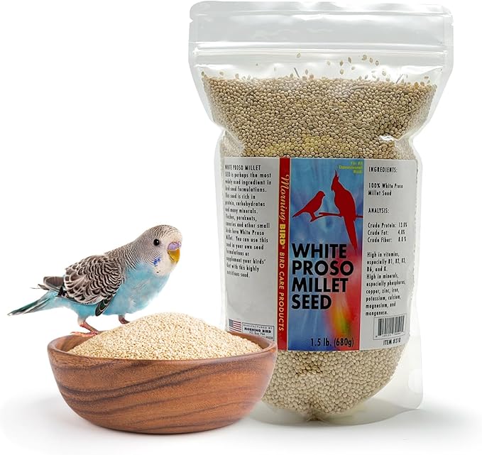 Morning Bird White Proso Millet 1.5 lbs – Unhulled Natural Bird Seed – Supports Feather Growth & Balanced Nutrition – High Energy Delicious Seed - Ideal for Finches, Parakeets & Pet Birds