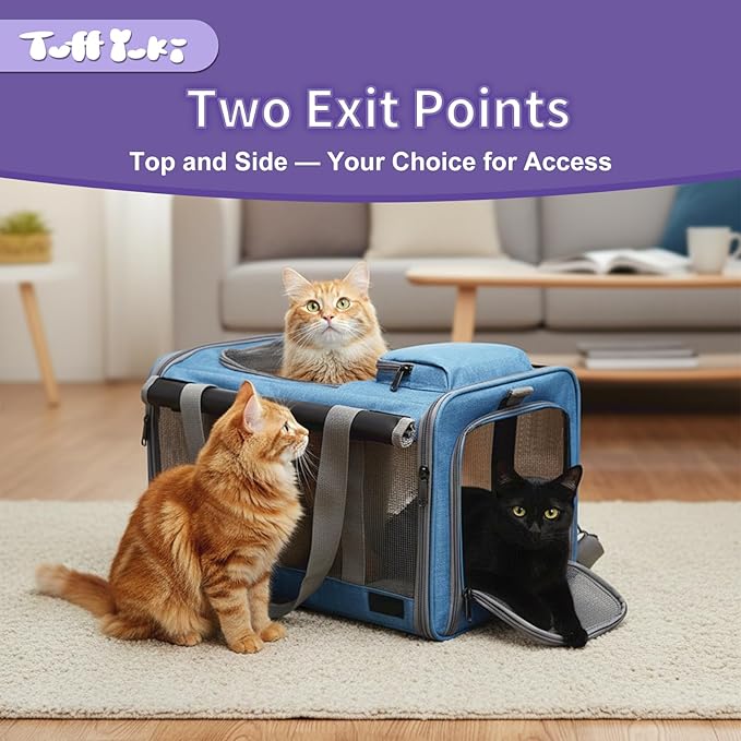 Pet Carrier (Blue1)