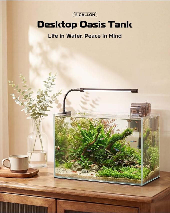 Glass Fish Tank Kit, 5 Gallon Betta Fish Tank Aquarium Starter Kit with Filter, Lights, Lid, for Betta, Goldfish, Small Fish or shrimg，Clear
