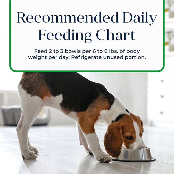 Blue Buffalo Basics Adult Small Breed Grain-Free Wet Dog Food for Skin & Stomach Care,Limited Ingredient Diet,Lamb Recipe,3.5-oz. Cups,12 Count (Pack of 2)
