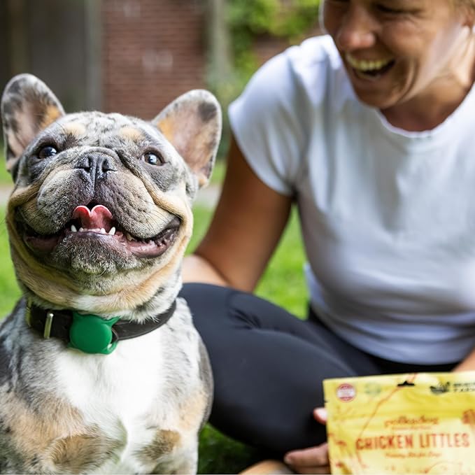 Polkadog Chicken Littles Crunchy Training Bits - All Natural, Limited Ingredient, Premium Training Treats for Dogs. Great for Allergies, Handcrafted in USA - 7oz (1pk)