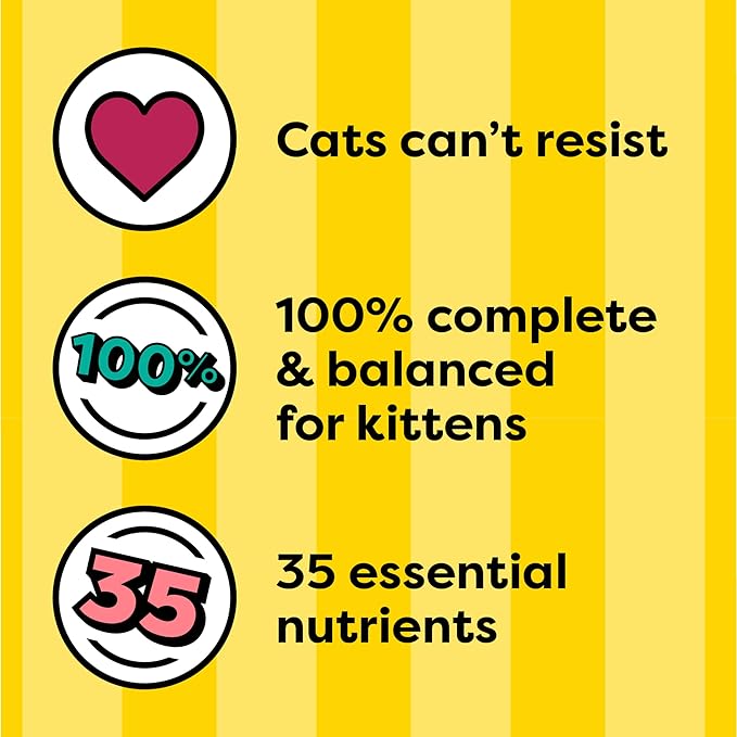 Temptations Kitten Cat Food Dry, Chicken & Dairy Kitten Food, 6.3 lb. Bag (Pack of 3)