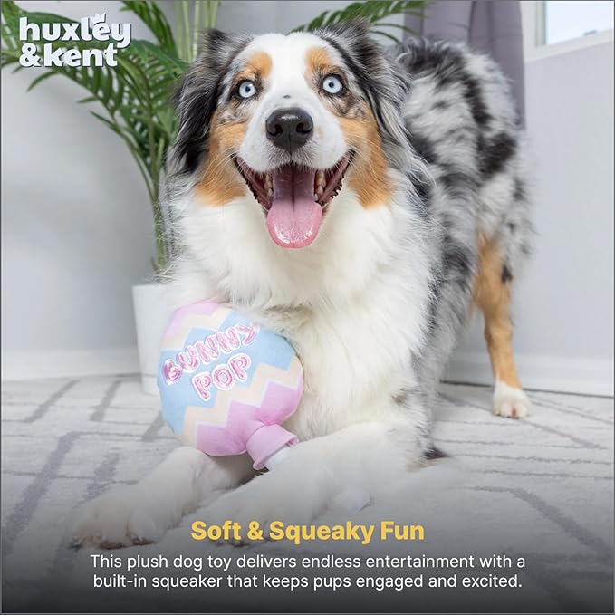 Huxley & Kent Funny Dog Toy w/Squeaker – Power Plush Squeaky Dog Toys for Small, Medium & Large Dogs – Soft Stuffed Animal for Indoor Play & Fetch - Bunny Pop, Large