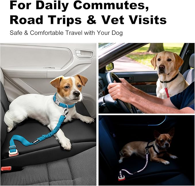 Dog Seat Belt for Car, Adjustable Dog Car Harness Seatbelt for Small Medium Large Dogs, Heavy Duty Travel Safety Restraint with Locking Aluminum Hook & Reflective Nylon Strap, Light Blue