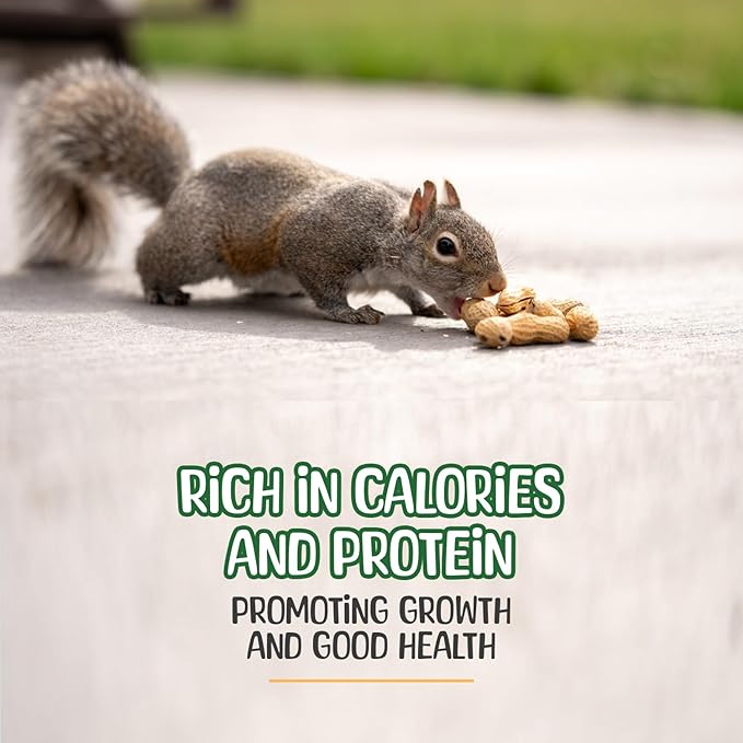 Sneaky Mango Raw Peanuts in Shell - 5 Pounds – All-Natural Food for Squirrels, Deer, Birds, and Other Wildlife Animals – Grown in the USA for Healthy Nutrition