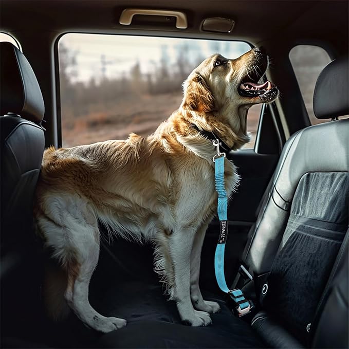 IBWell Dog Seat Belt for Car with Elastic Bungee Leash, Car Leash Car Seat Belt for Dogs (Light Pink, 1PCS-27.6")