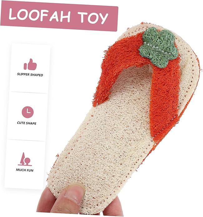 Garneck Loofah Slipper Shaped Pet Chew Toy for Dogs and Cats Molar Toy for Teething Random Oral Care Tool for Healthy Teeth and Gums Fun Pet Plaything