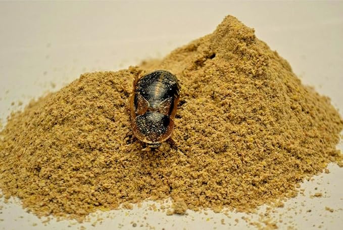 5 lb. Roach & Cricket Chow – Balanced Protein, Calcium-Fortified Diet by Five-Star Feeders – 1-Gallon Plastic Container