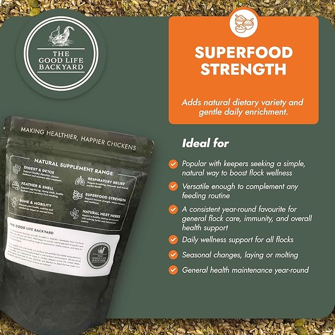 Good Life Backyard Superfood Strength for Chickens – General Wellbeing Nutrient Rich Poultry Supplement (2 lb Pouch) | Hatching Time