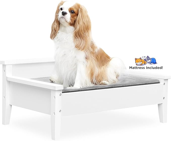 Wooden Dog Bed with Water-Resistant Mattress, Small to Medium Elevated Pet Bed with Calming Pet Mattress, Greenguard Gold Certified, Modern Dog Couch, Winston - TailZzz