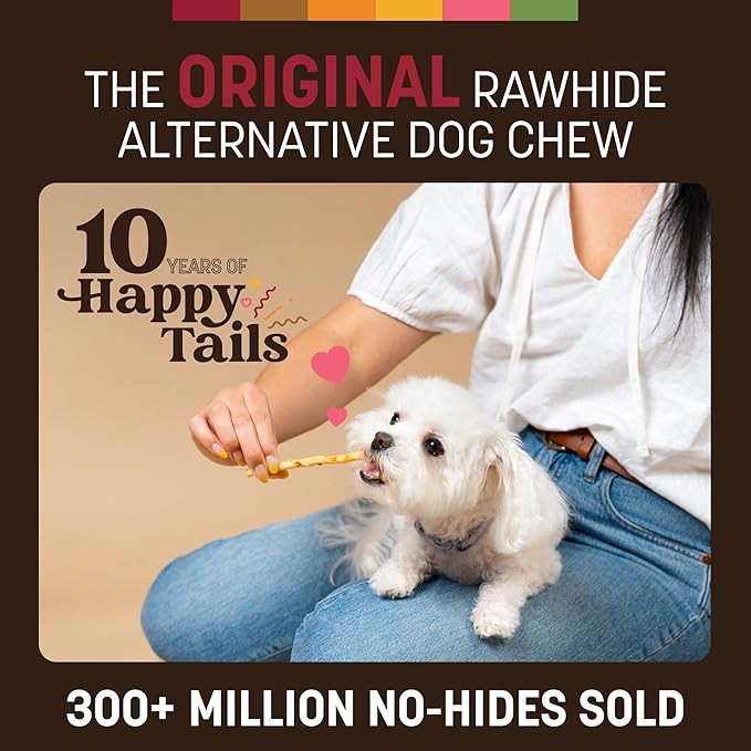 Earth Animal No Hide Stix - Long Lasting Rawhide Free Small Dog Chews Sticks, Beef - 10 Count