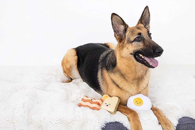 Pearhead Breakfast Dog Toy Set – 3-Piece Bunch Food Theme (Egg, Toast & Bacon) with Squeaker & Crinkle Paper – Interactive Pet Toy for Puppies & Dogs, Stocking Stuffer Ideas