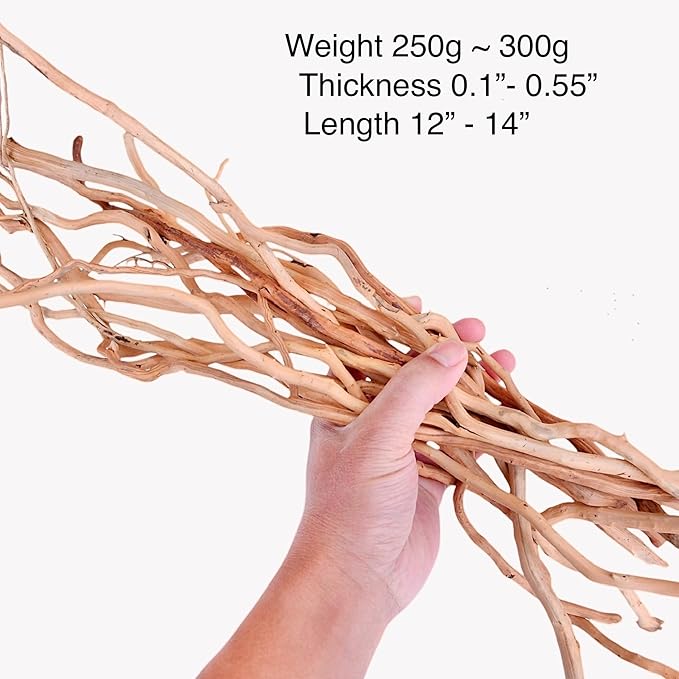 Azil Natural Aquarium Driftwood Root – Driftwood for Aquarium Decor, 250g ≈ 0.551 lb (10″–15''), Fish Tanks, Terrariums, Aquascaping & Planted Tanks