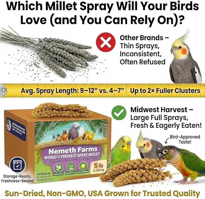 USA Grown Spray Millet for Birds – Midwest Harvest, 5 lbs Premium 100% Natural, Sun-Dried Non-GMO Whole Millet Sprays, Bird Treat for Parakeets, Budgies, Cockatiels, Conures, Lovebirds & Finches
