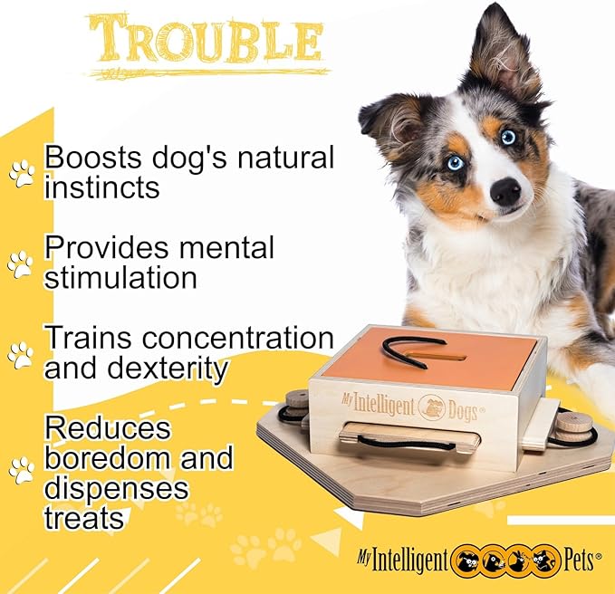 Trouble - Interactive Dog Puzzle Toy, Engaging Brain Game for Mental Stimulation and Enrichment