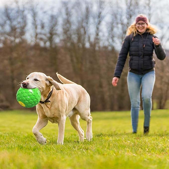 Dog Puzzle Toy – Durable Squeaky Chew Toy for Medium & Large Dogs, Treat Dispenser for Slow Feeding & Interactive Play (Green)