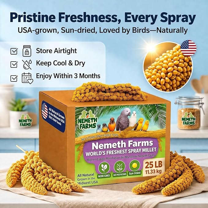 Nemeth Farms Spray Millet - Edible Tops Only, Non-GMO and Sun-Dried - 25 lbs Bulk for Parakeets, Cockatiels and Parrots