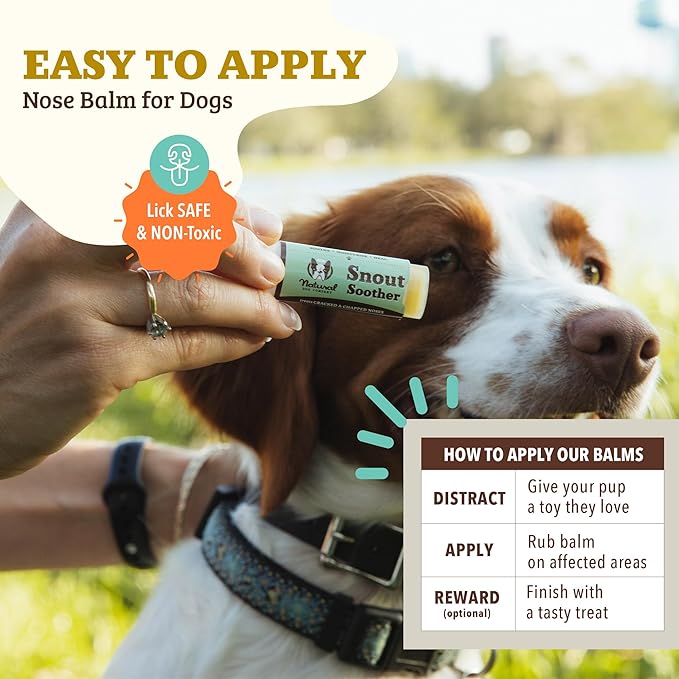 Natural Dog Company Snout Soother Dog Nose Balm 4-Pack – Moisturizing Care for Dry, Crusty, Cracked Noses with Coconut Oil & Shea Butter, Lick Safe Dog Snout Balm for All Breeds – 0.15 oz Travel Stick