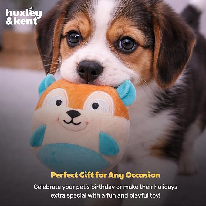 Huxley & Kent Funny Dog Toy w/Squeaker – Power Plush Squeaky Dog Toys for Small Dogs – Durable Small Stuffed Animal for Indoor Play & Fetch - Tiny Tuff Nutty Buddy