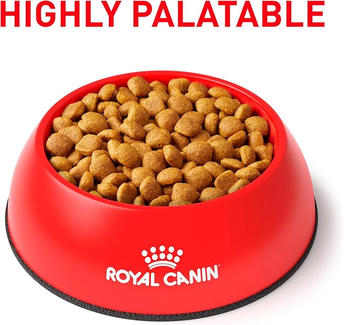 Royal Canin Veterinary Diet Canine Medium Mature Consult Mature Dry Dog Food, 19.8 lb Bag