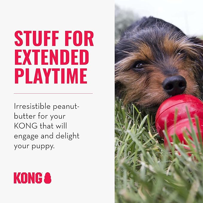 KONG Classic Stuffable Dog Toy Easy Treat Peanut Butter Spray - Fetch & Chew Toy for Dogs - with Dog Toy Filler Treat - for Hours of Fun & Enrichment - 8 oz - for Large Dogs